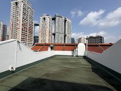 Tanjong Pagar Conservation Area (D2), Shop House #606787961